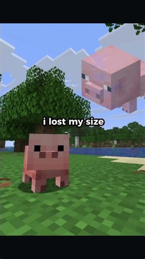 New Minecraft Baby Chicken #shorts #minecraft #comedy #minecrafthumor #minecraftjokes