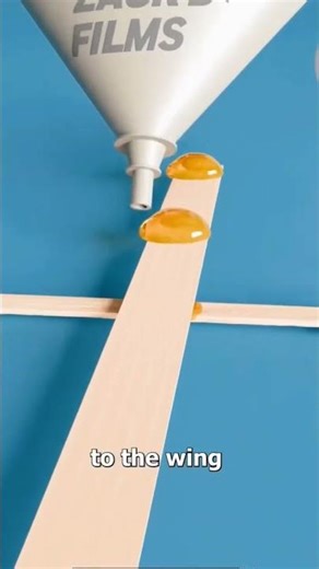 How A Fly-Powered Plan Works 🧐