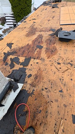 An example of what snow and ice can do to a roof when shingles are improperly installed or have exceeded their life expectancy. Close to 1/2 of the roof's sheathing needed replaced due to moisture finding its way through the shingles and underlayment. Prefer the weather to be at least in the 40's with some sunshine for shingle installations but with proper precautions and care it can be done effectively to avoid further interior damage. | Matt Sackman