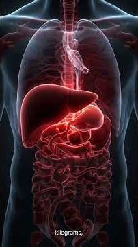 Human Body Parts & Their Functions Explained | Complete Human Body Value Guide