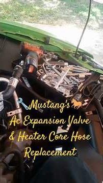 🔧Mustang's AC Expansion Valve & Heater Core Hose Replacement (Knowledgeonhowto)