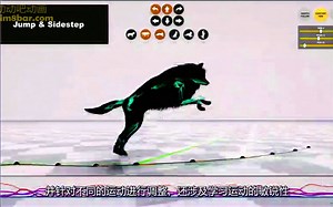 四足动物运动自适应神经系统—狼