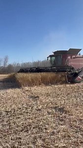 Monette Farms on Reels