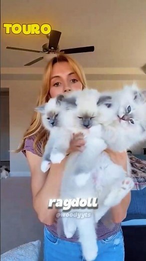 This is your cat according to your zodiac sign! 🔮