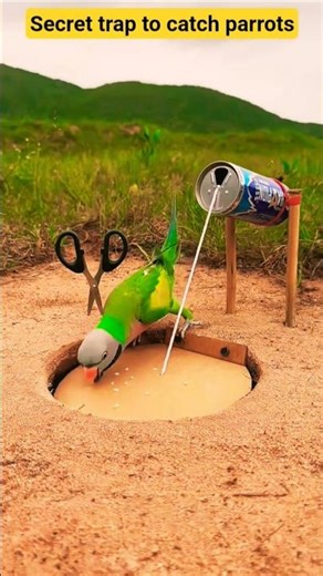 Secret trap to catch parrots😯 #easybirdtrap #birdtrap #funny #ফাঁদ #birds #easybirdtrap
