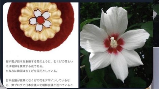 録画，法律解説、栄高校で自動車事故「なぜ？」って、あなたの子供が自分で無免許の車に同乗し箱乗りし