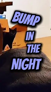 82K views · 3.4K reactions | I keep getting such amazing submission...