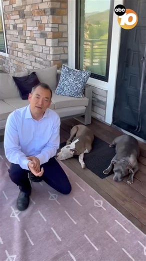 3.2K views · 30 reactions | Mountain lion sightings and a possible attack on two dogs have people in Alpine on edge. “This is a neighborhood where people are walking their kids and dogs … Now we have to take mountain lions into consideration.” | 10News – ABC San Diego KGTV | Facebook