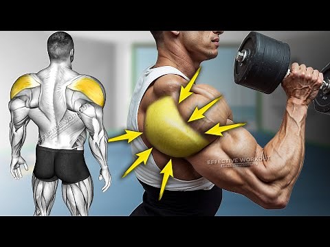 5 Best Rear Delt Exercise (HUGE SHOULDERS)