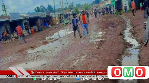 ODUU GUYYAA HAR'AA | Oromia Media Oromo