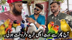 Lalukhet Sunday Birds Market Latest Update Price ? | Birds Market Karachi New Video by Owais Khan In this market you can find all types of birds like a Budgie parrot Cocktail parrot Java sparrow Dove bird Zebra finches Canary singing birds Zebra dove Lovebirds mutation Bajri parrot etc all types of birds and parrots you can find here in Lalukhet birds market Karachi. #lalukhetbirdsmarket #birdsmarketkarachi #sundaybirdsmarket #karachibirdsmarket #apnabirdscenter #owaiskhan #bird #parrot #petbird