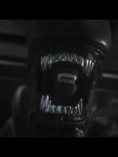 so fcking cute #alien #xenomorphedit #xenomorph #alienisolation #edit #gameedit #aftereffects #foryoupage #fyp