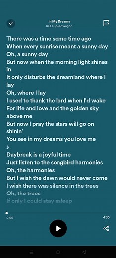 In My Dreams By Reo Speedwagon