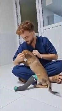 Baby Dougie Update 💛 [STORY BELOW]