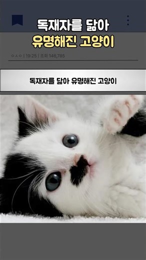 독재자를 닮아 유명해진 고양이
