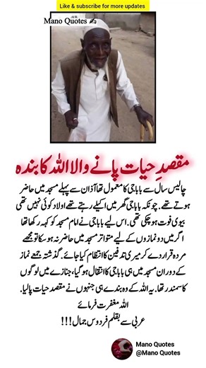 Inspiring Quotes to Brighten Your Heart & Change Your Perspective #history #success #quotes