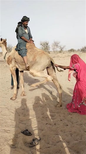 مشهد جميل من الضحك والمرح في الصحراء