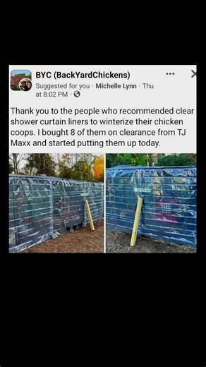 winterize your chicken coop easily | Subscribe for more #motivation 😊👍