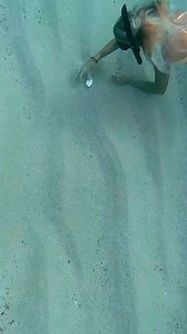 115K views · 620 reactions | The fish was like “blub blub” and I felt that  #hawaii #diving #underwater #models #ocean #diver | CEO Of The Ocean | Facebook