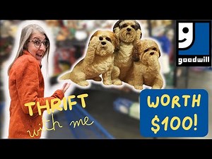 UNBELIEVEABLE GOODWILL FIND : $100 Item for $5!