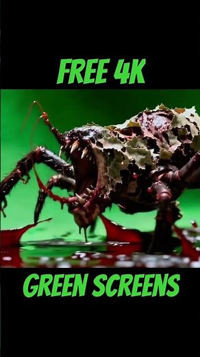 Free 4K Green Screen Horror Effects for Your Videos!