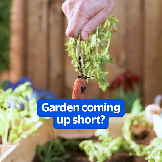 Get your groceries delivered in as little as two hours with Walmart Online Grocery. | Walmart Canada | Facebook