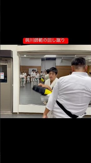 Kyokushinkai‼️Awesome sound of the roundhouse kick #karate #mitthitting #karate #mitt #kyokushin ...