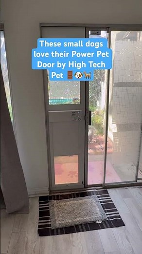 Training Made Easy 🐾 Smart Dog Door in Action | Try Risk-Free for 90 Days