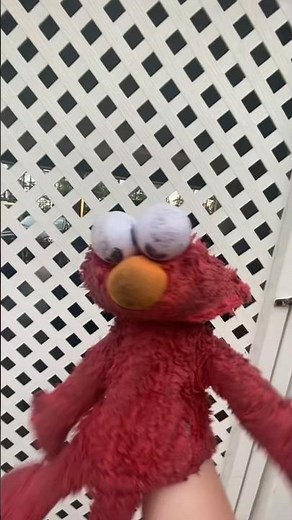 elmo world leo intro