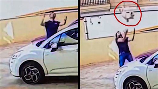 Dog Falling From 9th Floor Balcony Is Saved By Random Passerby