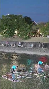 鴨川納涼2025 友禅流し実演 #shorts