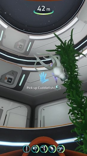 Cómo encontrar el cuddlefish en Subnautica