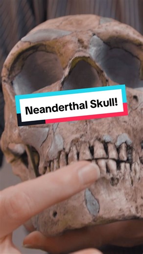 Exploring Neanderthals in Britain: A Dive into Human Evolution
