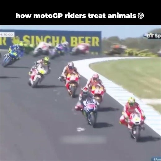 how f1 drivers treat animals Vs MotoGP Riders #f1 #formula1 #formulaone