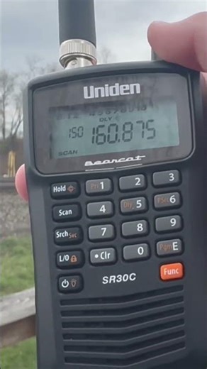 Norfolk southern defect detector