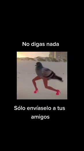 😰 #fyp #viral #parati #foryoupage #dancing #bird