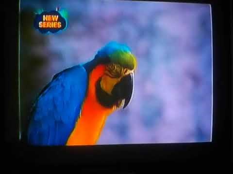 Zoofari 2018 - Promo