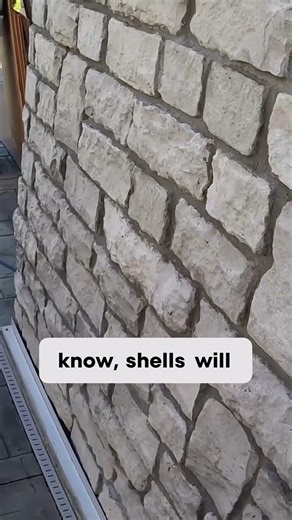 The Truth About Pool Shells: Why They Always Fade