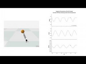 Spring Loaded Inverted Pendulum