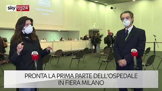 Google, animali in 3D: ecco come osservarli con la Realtà Aumentata