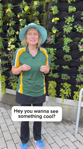 How to tell between a male and female cicada! #naturespeaker #natureeveryday #naturelovers #natureschool #schoolofnature #stemeducation #stemspeaker #stemactivities #outsidelearning #learningoutside #naturelover #naturelearning #natureactivities