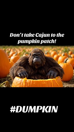 Don’t take Cajun to the pumpkin patch #dumpkin #pumpkin #pumpkinpatch #bigfoot #cajunbigfoot | Cajun Newss
