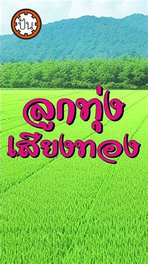 สาริกาไร้รัง | ยอดรัก สลักใจ #shorts #music #song #เพลงดัง #เพลงฮิต #เพลงเพราะ