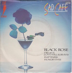 Sad Café - Live In Concert