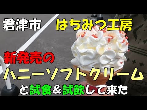 君津市 はちみつ工房のハニーソフトクリーム食べてきた!