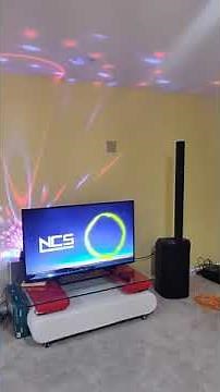 Bose L1 Pro16 Sound Test Demo 2