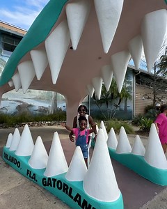 3K reactions · 245 shares | Reconnect with the wild, dial up the adventure and create family memories that will last a lifetime! 朗 : Gatorland Orlando | Visit Orlando | Facebook