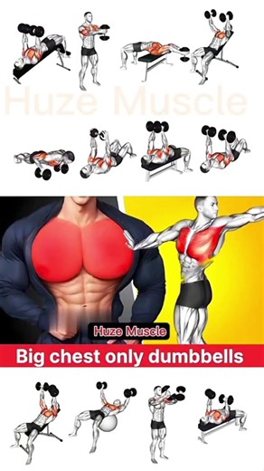 10 Best Dumbbell Chest Exercises for a Bigger Chest 💪 | Build Powerful Pecs at Home