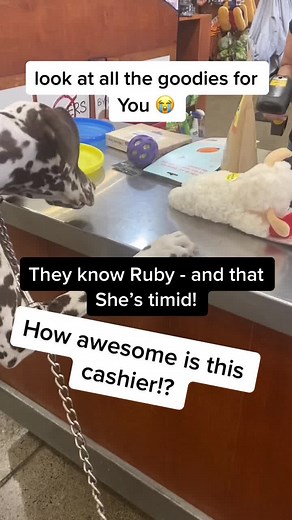 Ruby the Spot 🐶 🆘🇺🇸 (@rubythespot)’s videos with original sound - Ruby the Spot 🐶 🆘🇺🇸