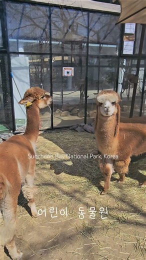 Suncheon Bay National Park, Korea 순천만 국가공원 2026.03